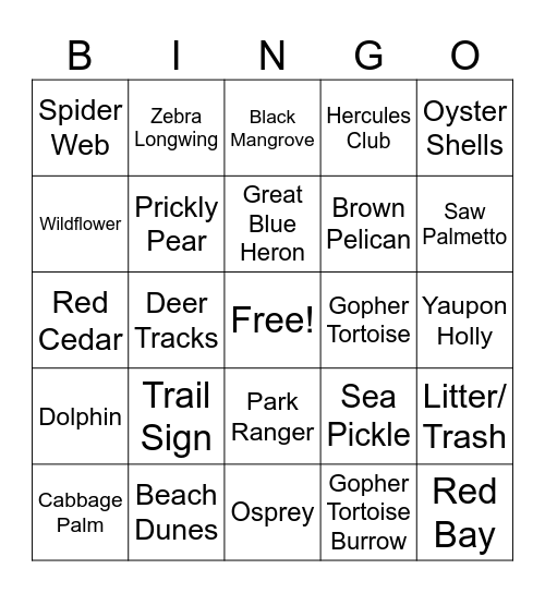 Anastasia State Park Bingo Card