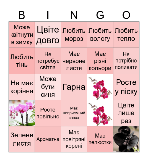 Орхідея Bingo Card