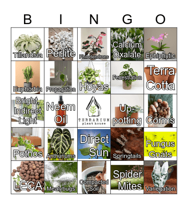 Houseplant Bingo Card
