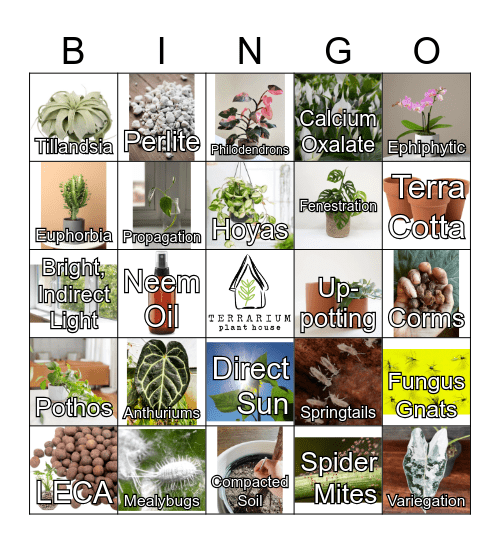 Houseplant Bingo Card