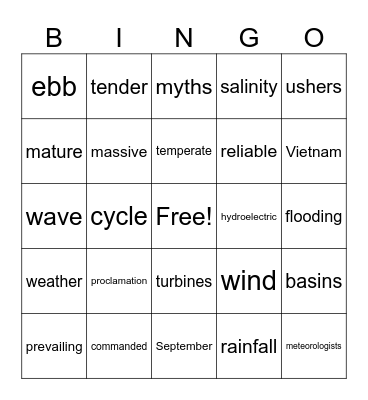 MONSOON Bingo Card
