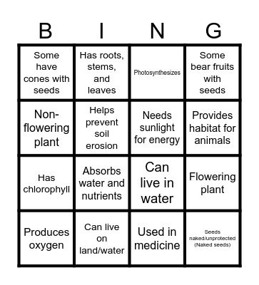 Plant Characteristics Bingo! Bingo Card