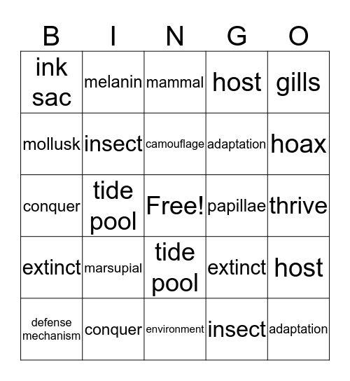 Vocabulary words Bingo Card