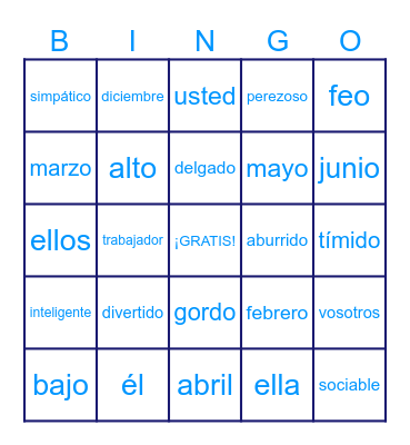 Adjectives, months of the year and subject pronouns Spanish 7 Unit 1 Bingo Card