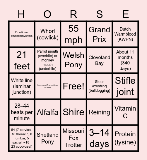Equine & Wine - Round 2 Bingo Card