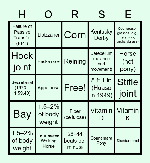 Equine & Wine - Round 3 Bingo Card