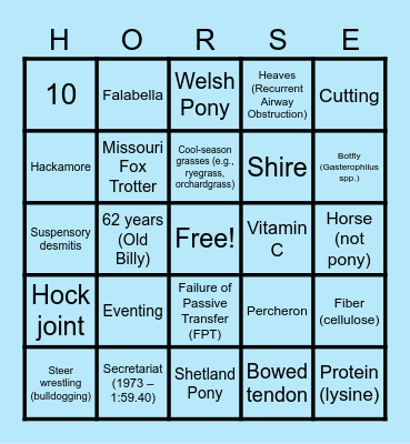 Equine & Wine - Round 4 Bingo Card