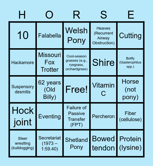 Equine & Wine - Round 4 Bingo Card
