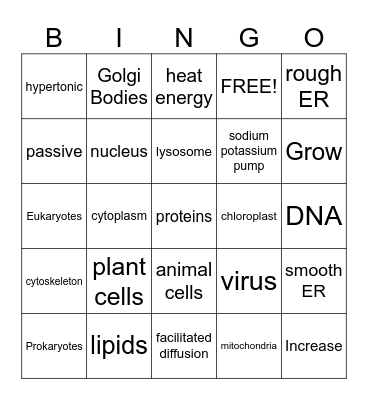 Cells & Cell Processes Bingo Card