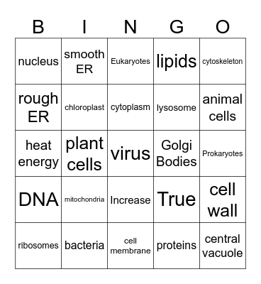 Cells & Cell Processes Bingo Card
