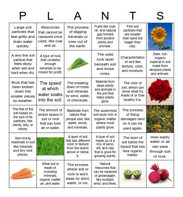 Soils Terminology Bingo Card