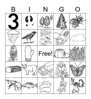 Northern Tutchone Bingo Card