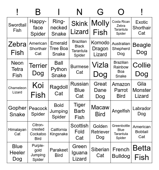 Pets Bingo Card