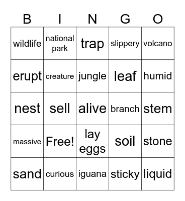Ch 7 Vocabulary Bingo Card