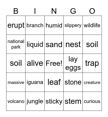 Ch 7 Vocabulary Bingo Card