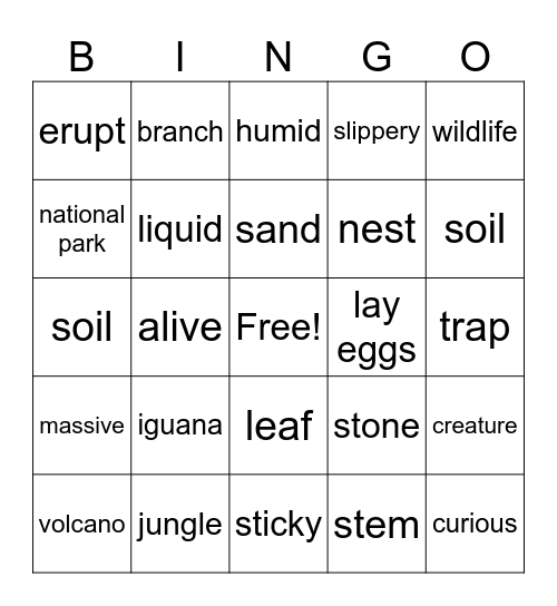 Ch 7 Vocabulary Bingo Card