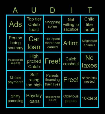 Finical audit Bingo Card