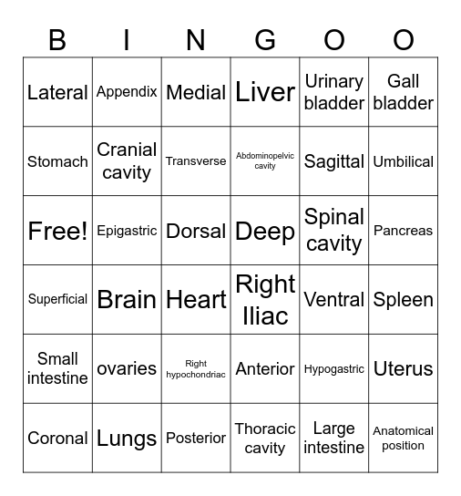 Anatomy Lessons #1- #4 Bingo Card