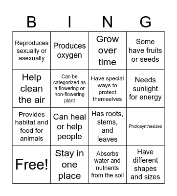 PLANT CHARACTERISTICS Bingo Card