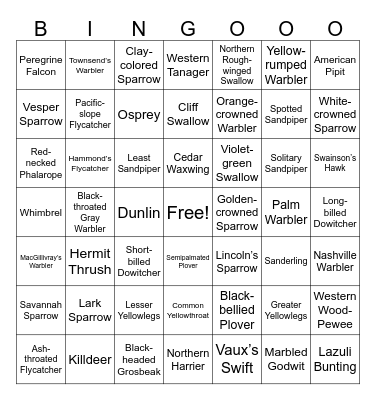Ventura County Spring Birding Bingo Card