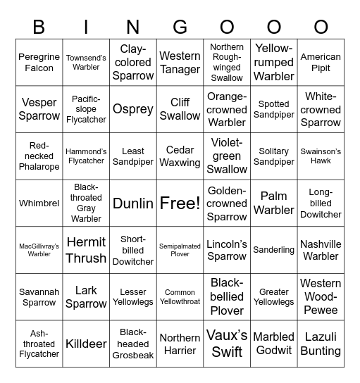 Ventura County Spring Birding Bingo Card