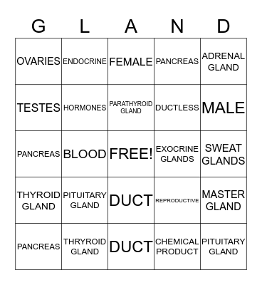 Endocrine System Bingo Card