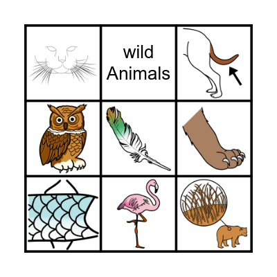 wild animals Bingo Card