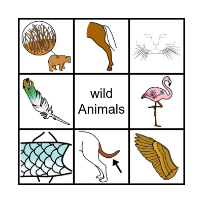 Wild Animals Bingo Card