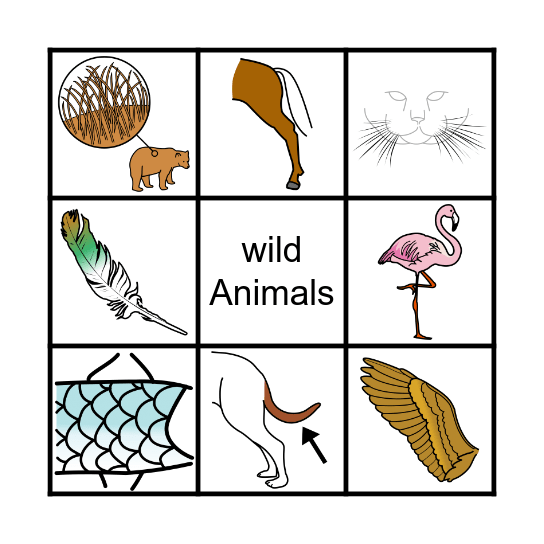 Wild Animals Bingo Card