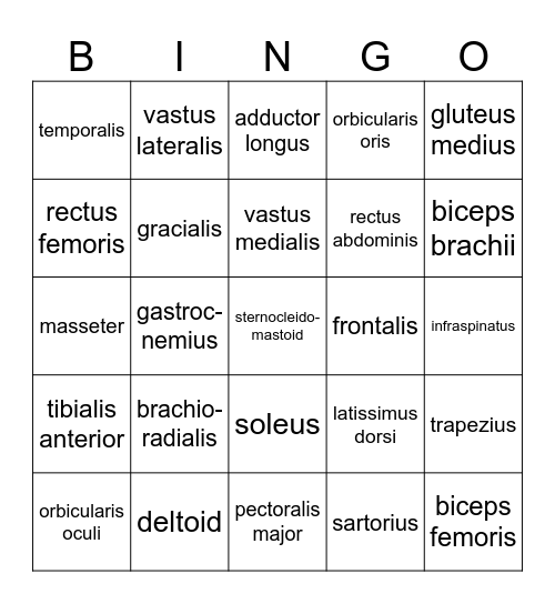 BONES Bingo Card
