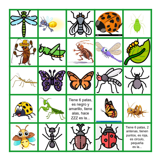 Insectos Bingo Card