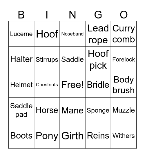 Pony Camp Bingo Card