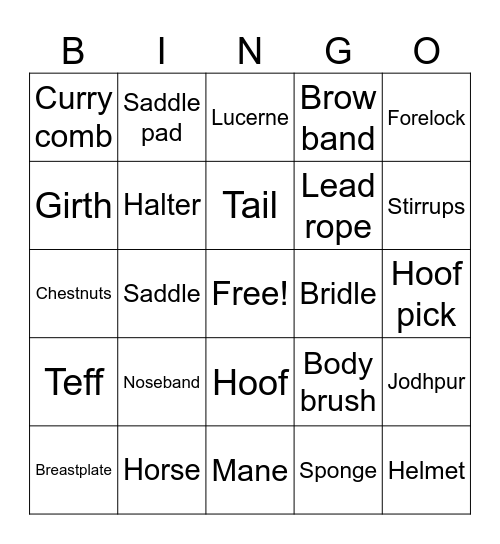Pony Camp Bingo Card