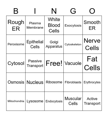 Organelles & Plasma Membrane Bingo Card