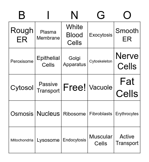 Organelles & Plasma Membrane Bingo Card