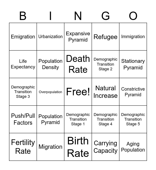 Demography Bingo Card