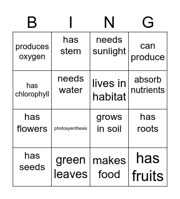 PLANTS Bingo Card