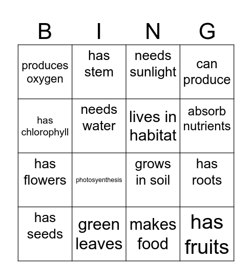 PLANTS Bingo Card