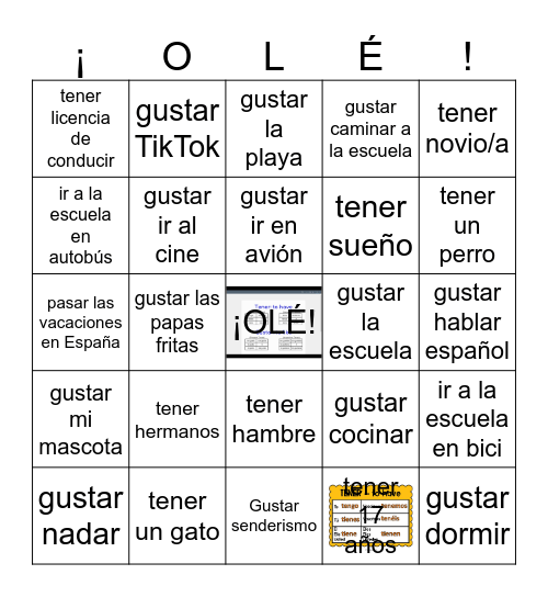 Gustar y Tener Bingo Card