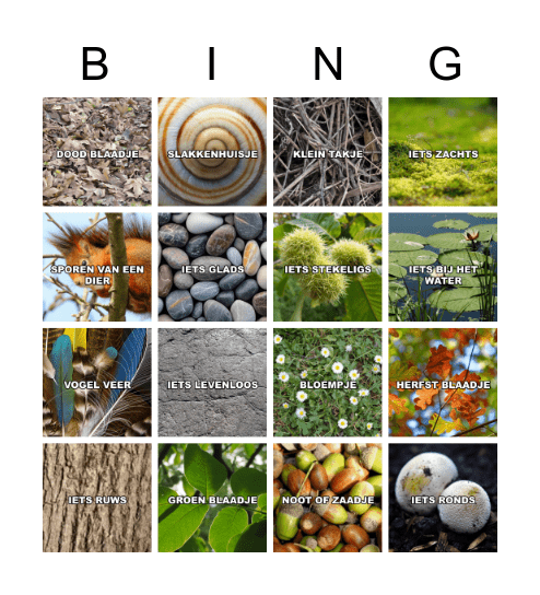 NATUUR BINGO Card