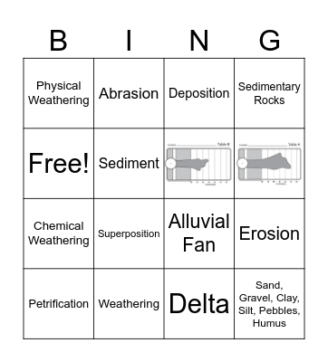 Investigation 2 BINGO Card
