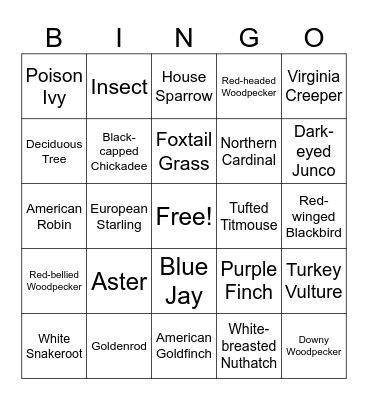 Bird Walk Bingo Card