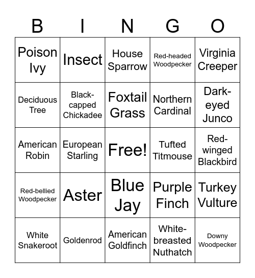 Bird Walk Bingo Card