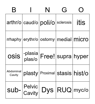 Level 3 Chap 1/2 Bingo Card