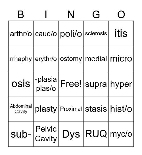 Level 3 Chap 1/2 Bingo Card