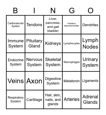Body Systems Bingo Card