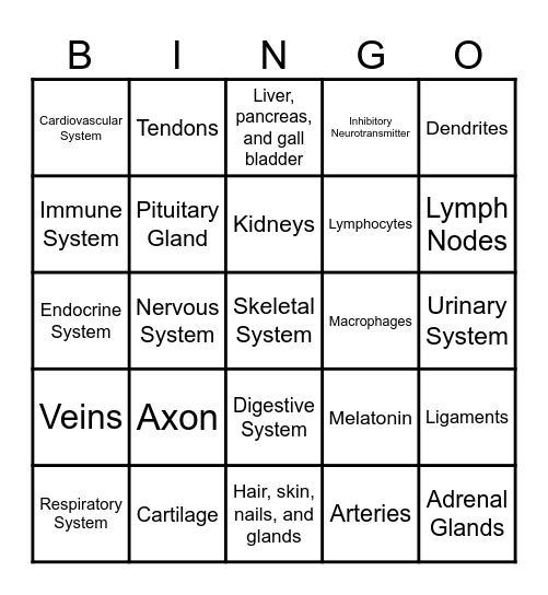 Body Systems Bingo Card