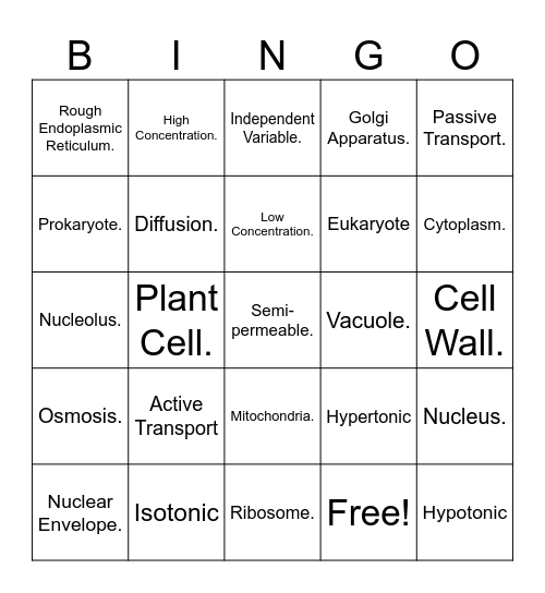 Review Bingo! Bingo Card