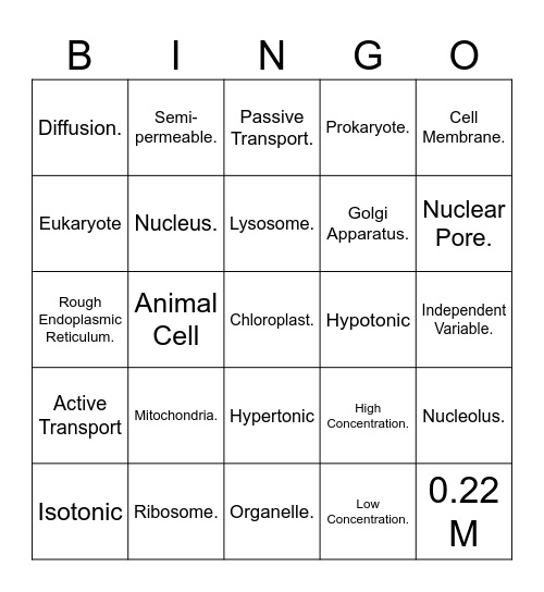Review Bingo! Bingo Card