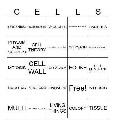 BJU Sci Ch 4 Bingo Card